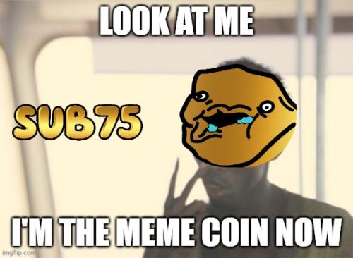 im-the-meme-coin-now-2