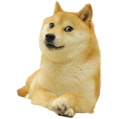 full-doge-left