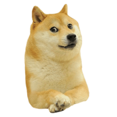 full-doge-right